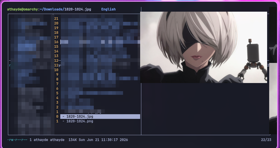 lf aberto na pasta Downloads com a imagem 2B renderizada de verdade no painel de preview à direita