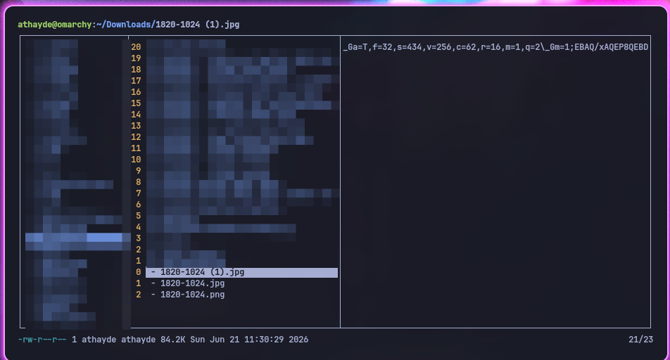 lf aberto na pasta Downloads com o painel de preview mostrando códigos de escape como texto