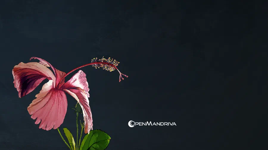 Wallpaper de 2019 do acervo do projeto, que ainda vem no pacote de arte da distribuição.